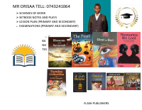 MR ORISAA business.pdf